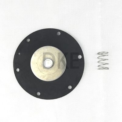 Pentair Goyen K3500 (M1581) Kit de reparación de válvulas de diafragma, Goyen original 1-1/2′′,Buna-N Diafragma W/Primavera