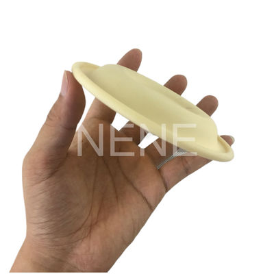 3/4" de pulgada 93465 93111 DN20 Ingersoll Rand Pump Diafragmas Santoprene/PTFE Kit de reparación del diafragma PD07P-APS-PAA PD07P-APS-PTT