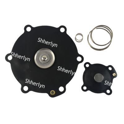 Kit de reparación de diafragma Mecair de 2 pulgadas DB116 DB16 VNP216 VEM216 VNP316 VITON Personalización