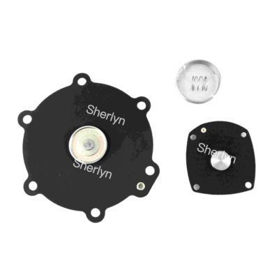 M50 Kit de reparación del diafragma Turbo 2" DN50 FP55 FM55 SQP50 SQM60