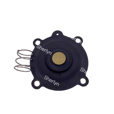El kit de reparación del diafragma ASCO C131606 adecuado para SCE238D004 SCE238D009 Diafragma de válvula de agua NBR/VITON