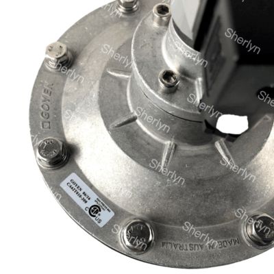 Válvula de pulso electromagnético GOYEN CA62T 2 1/2 ángulo recto Tipo de diafragma adecuado K5004 K5000