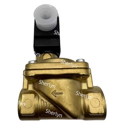 Válvula de solenoide Burkert 00221930 6281 Tipo G3/4 2/2 Generalmente se abre DC24V