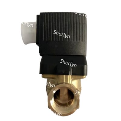 Válvula solenoide Burkert de latón 00221934 G3/4 24V CC