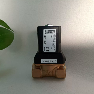 AC220V 8W Burkert original 00221605 6213 NC válvula de solenoide, G1/2 puerto 13 orificio NBR junta, carcasa de latón funcionando a -10 °C a 80 °C 0-10bar