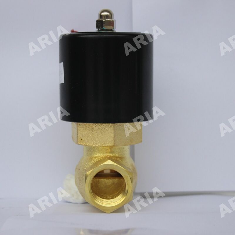 Válvula solenoide de vapor de alta temperatura US-10/US-15/20/US-25/US-35/US-40/US-50 Serie de válvulas de vapor de alta temperatura US