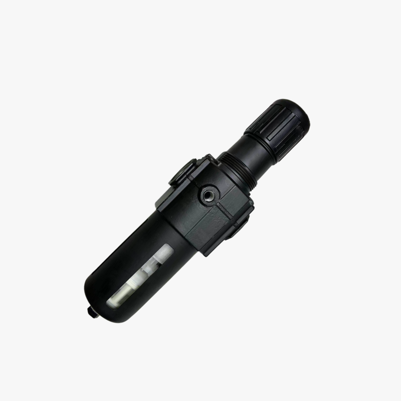 NORGREN B74G-6GK-AP1-RMN B74G-6GK-QP3-RMN B74G-6GK-QP1-RMN Serie Excelon Componente de tratamiento de aire comprimido Desmontaje sin herramientas de cuenco Reemplazable Cartucho de filtro