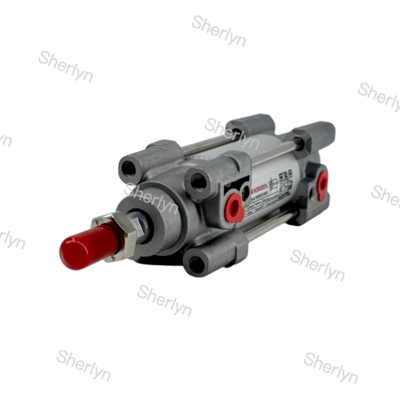 RA/802032/M/125 Cilindro de doble efecto 32mm de diámetro 125mm de carrera