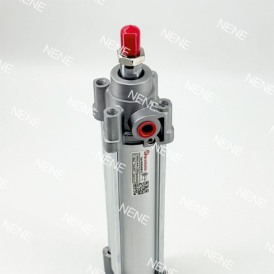 RA/802032/M/50 Cilindro neumático de pistón de doble efecto con medio filtrado Norma ISO 15552 NORGREN